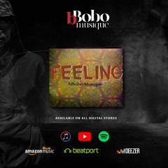 BBobo Musique - Feeling
