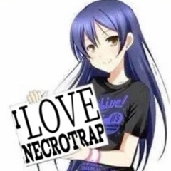 MY LIFE IS LIKE A NECROTRAP SONG (p. toxoplasmose)