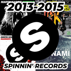 2013-2015 EDM (BIG ROOM HOUSE//Spinnin' Records)