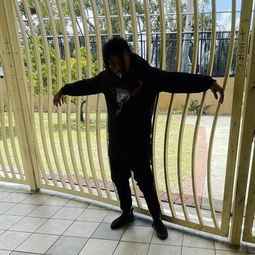 Muks Died - Manic Depression (unreleased)(snippet)