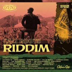 Cali Roots Riddim Mix (2020) Collie Buddz,Gentleman,Anthony B,Jesse Royal,Etana,Yellowman & More