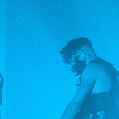 the mist