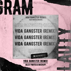 Vida Gangster (Remix) Lauty Gram, Feid, Nio García, Casper, Darell (Alex Pantoja Mashup)