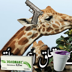 путешествие жирафов