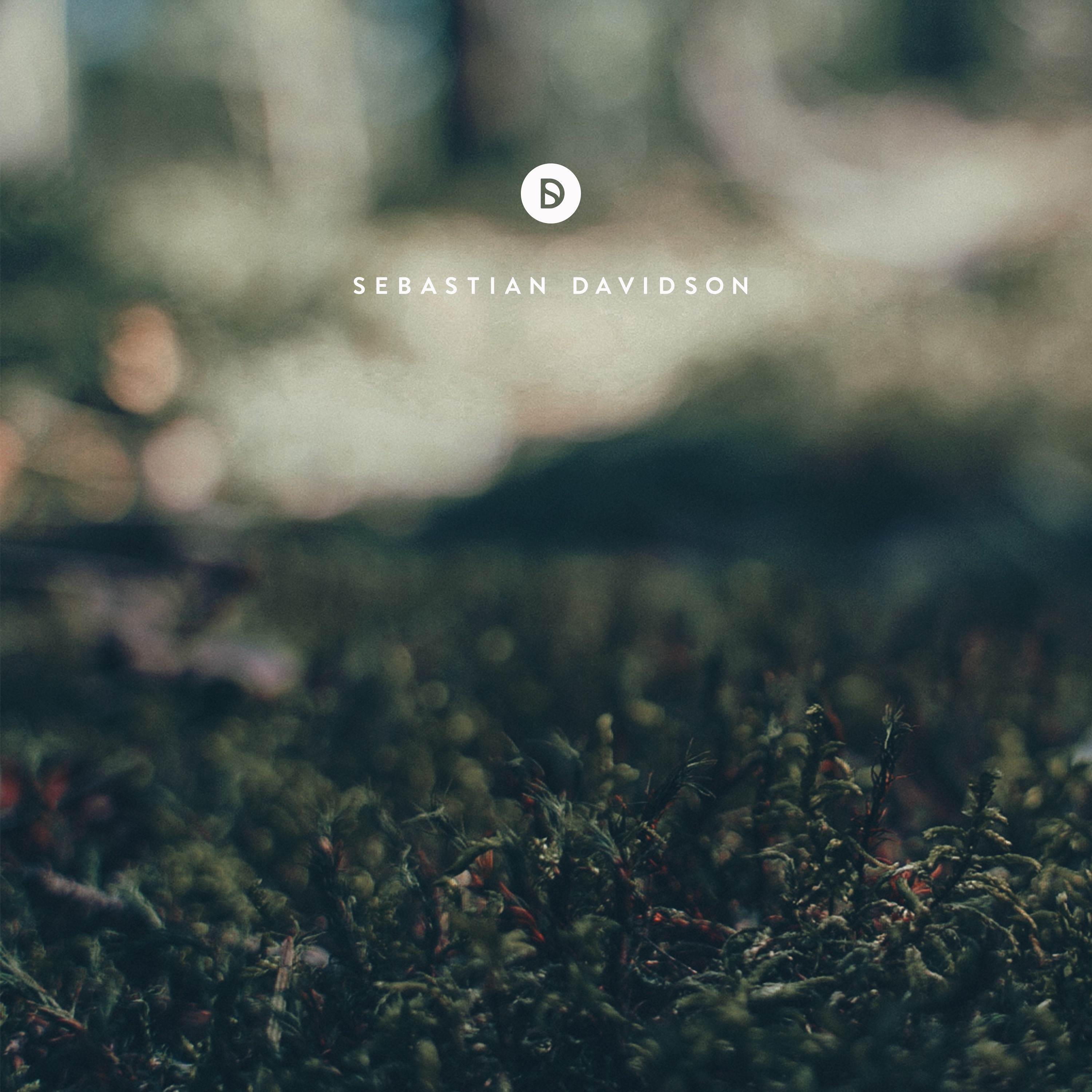 Voyage of Discovery by Sebastian Davidson