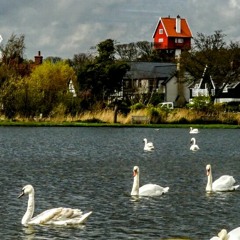 Tchaikovsky - Swan Lake Ballet - Dance of the cygnets