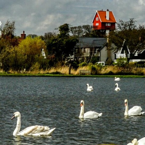 Tchaikovsky - Swan Lake Ballet - Dance of the cygnets