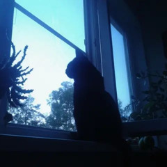 facade p. neverforever