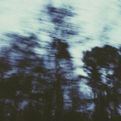 fever dreams