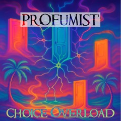 Choice Overload