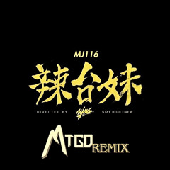 MJ116 - 辣台妹 HOT CHICK【MTGD Bigroom-Techno REMIX】