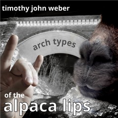 arch types of the alpaca lips