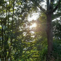 wonderful piano piece :)