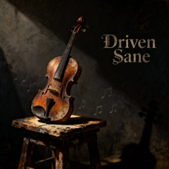 Driven Sane_12