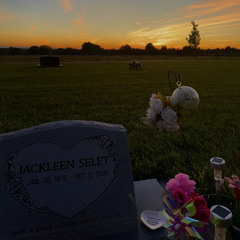 Cover:FanChamong Tai