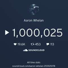 Aaron Whelan-Summer Isnt Cancelled(Mini Mix)