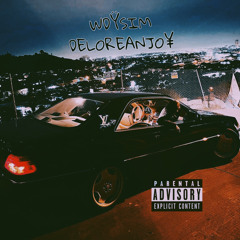 Deloreanjo- WDŸSIM