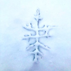 At the phrygid edge of whiteness