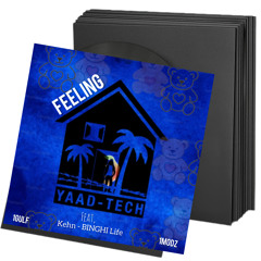 feeling_-_khen_-_binghi life   - 1Modz