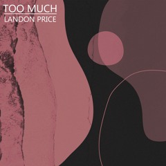 Too Much (French House)