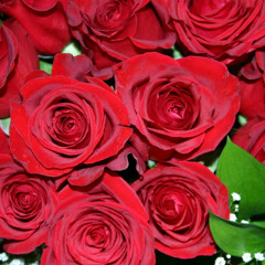 Images (2005)