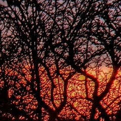 Afternoon Techno on a Tuesday