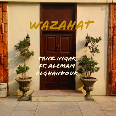 Wazahat - Tanz Nigar ft. Alemam Elghandour (Prod. Baig)