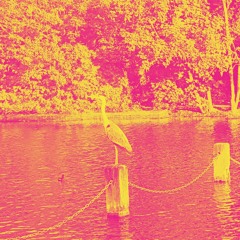 its not too bad (demo)