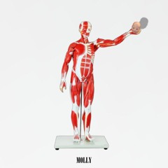 Molly - Newmon