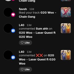 G2G Woo - L40 Di6ss