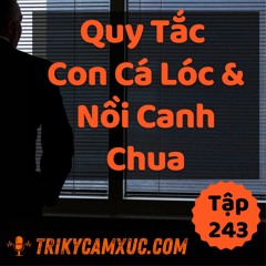 Tập 243: Quy Tắc "Con Cá Lóc Và Nồi Canh Chua"
