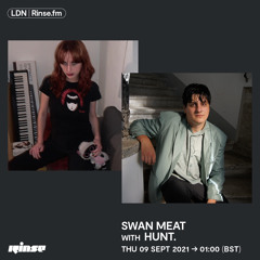 Swan Meat with Hunt. - 09 September 2021