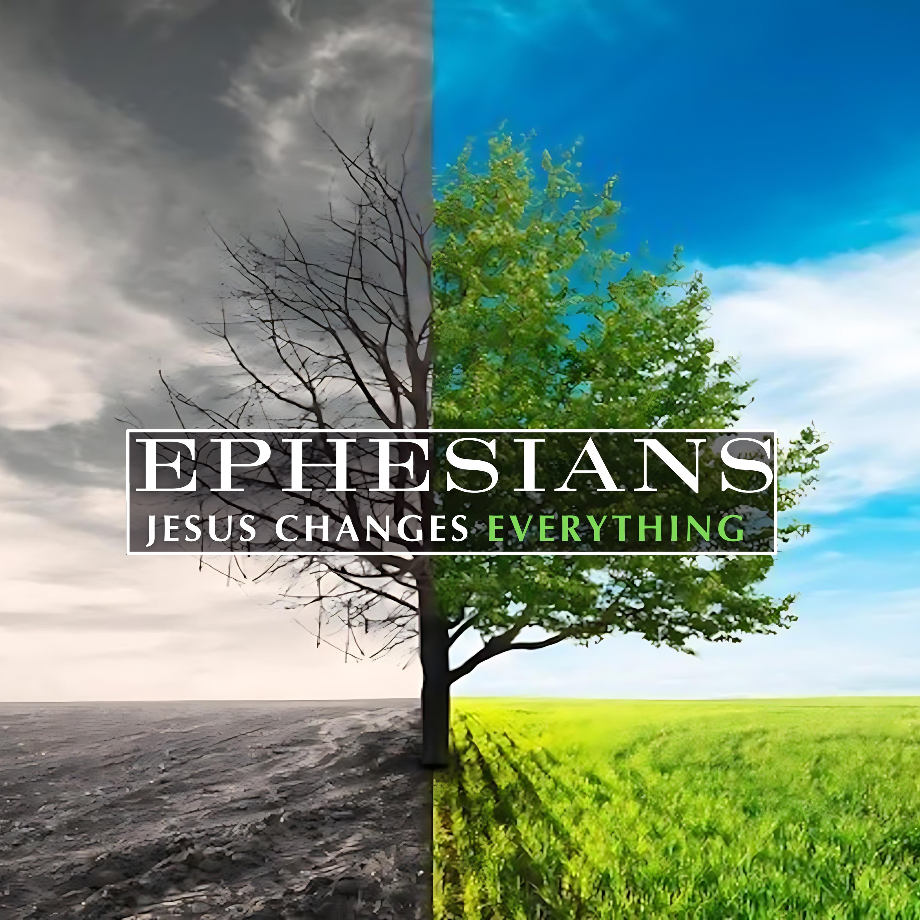 "Jesus Changes Our Marriages (Eph 5:21-33)", Will DuVal | 11/17/24 episode artwork