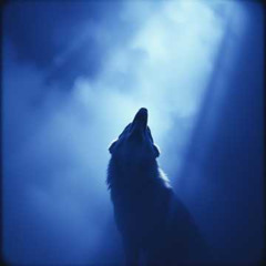 Cry, Cry and Scream ✦4 | Hard Rock - MV