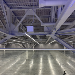 1900scar - gym prod ochoo