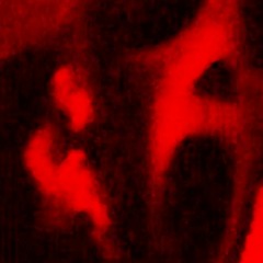 FindingBriana_22222.mov