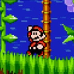 sonic and knuckles lock on but your cousing broke it trying to shove his mario game in the top