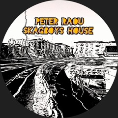 PREMIERE: Peter Raou - Space Cake [RJWMACHINES]