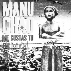 Manu Chao - Me Gustas Tu (Why T Remix)