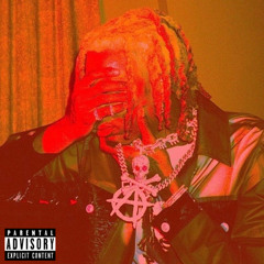 That Bitch! (ft. trippie)