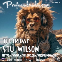 #165 Profound Radio  Melodic House & Techno  @djstuwilson