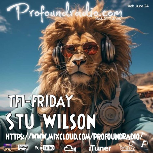 #165 Profound Radio  Melodic House & Techno  @djstuwilson