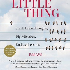 READ [PDF] Every Little Thing: Small Breakthroughs, Big Mistakes, Endl