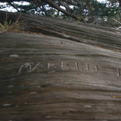 Beneath the Maketu Tree