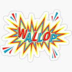 WALLOP BANGIN HARDHOUSE MIX 870