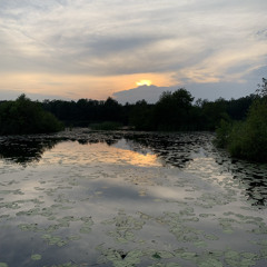 Is the angel passing by - 2021 summer live session