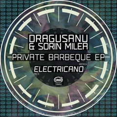 Dragusanu - Any (Original Mix) Preview