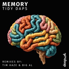 PREMIERE: Tidy Daps - Memory (BiG AL Remix) - DeepWit Recordings