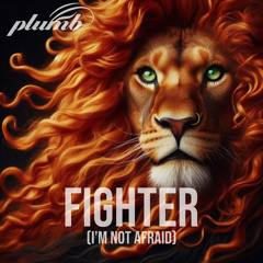 Fighter (I'm Not Afraid)