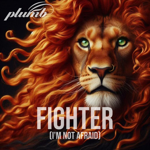 Fighter (I'm Not Afraid)